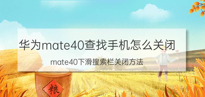 华为mate40查找手机怎么关闭 mate40下滑搜索栏关闭方法？